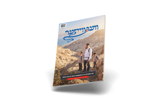 וועג ווייזער